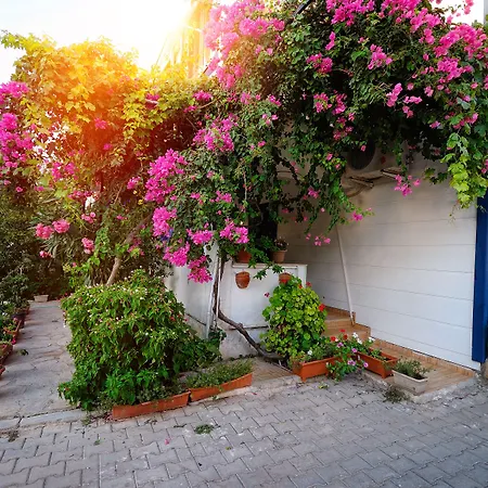 Kaya Hotel apartamentowy Datça