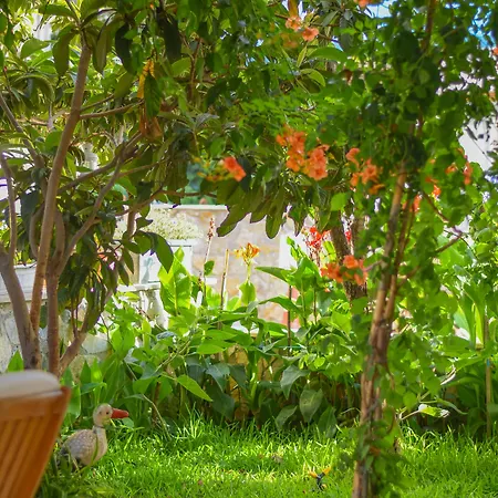 Kaya Hotel apartamentowy 4*