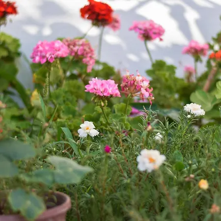 Hotel apartamentowy Kaya Datça