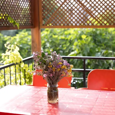 Kaya Hotel apartamentowy Datça