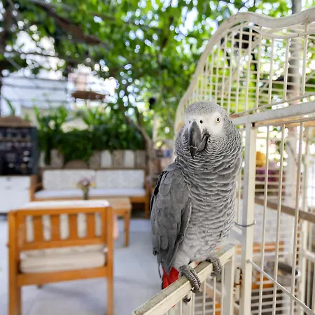 Kaya 4* Datça