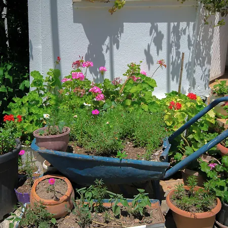 Aparthotel Kaya Datça