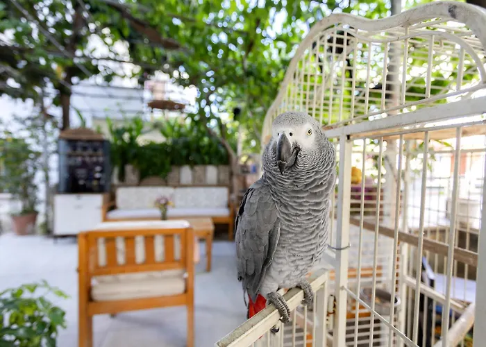 Kaya 4* Datça